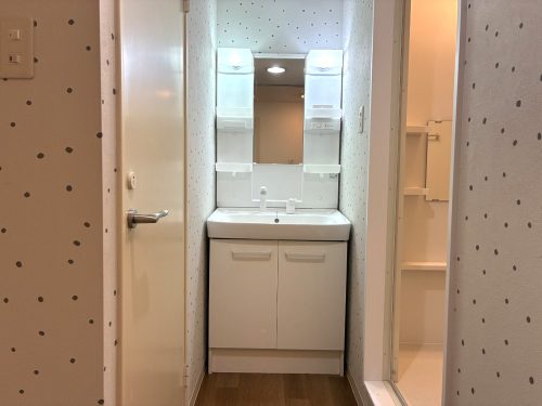 ｼｬﾝﾌﾟｰﾄﾞﾚｯｻｰ