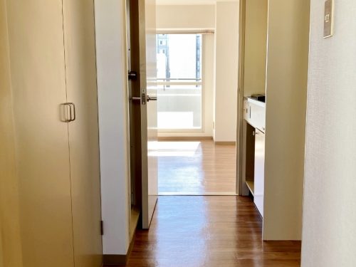 玄関+ホール(玄関) 玄関+ホール(玄関)