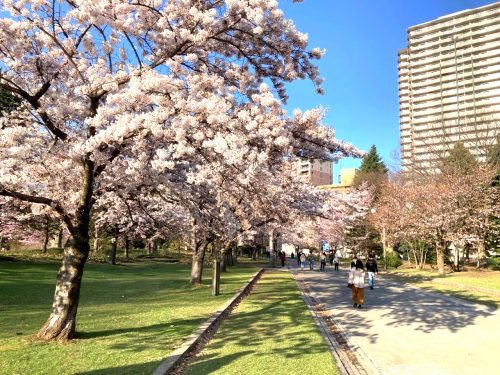 中島公園(周辺)